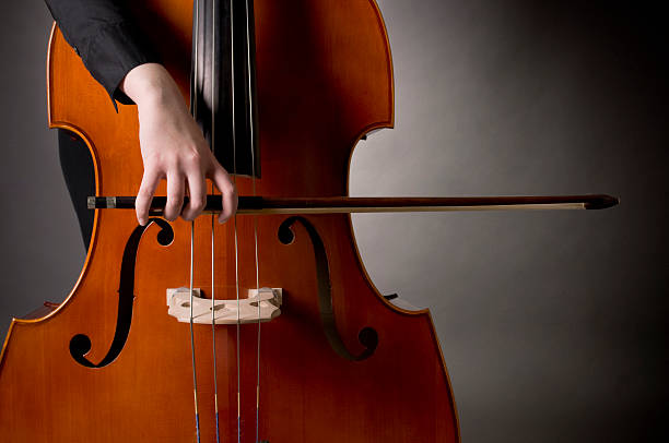低音提琴在乐团中的作用有哪些？