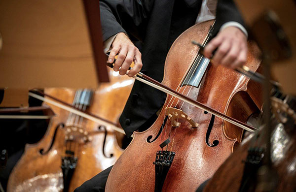 成人学大提琴难吗？要做哪些准备？