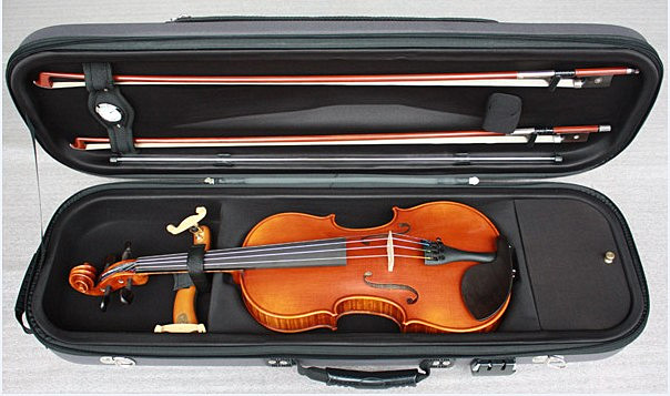 专业的小提琴演奏者，琴盒里装的什么
